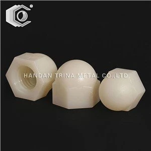 DIN1587 Plastic Nylon Cap Nut