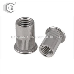 Rivet Nut with Flat End